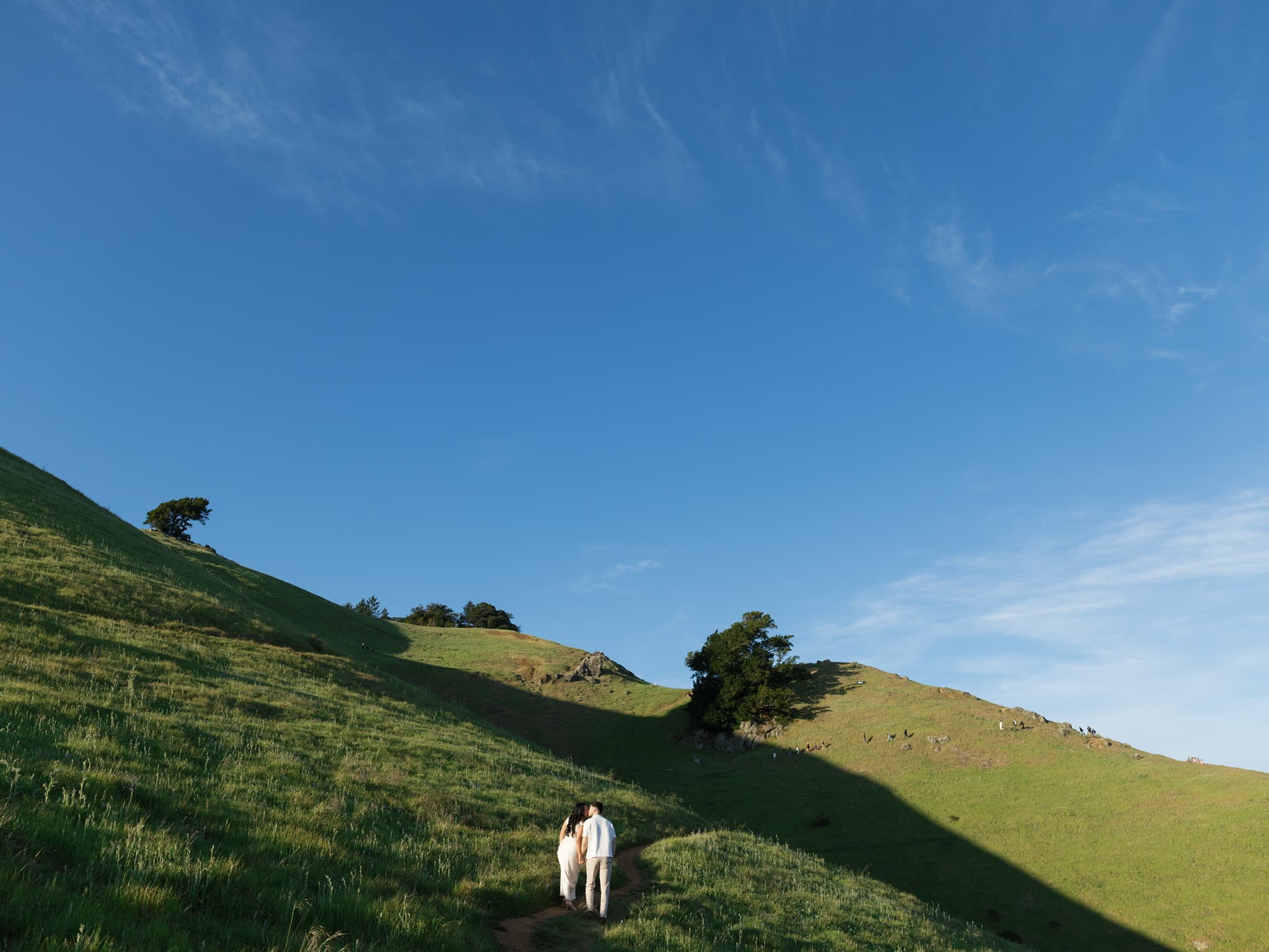 Hillside landscape